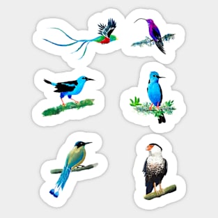 Quetzal Hummingbird Honeycreeper Motmot Caracara Sticker